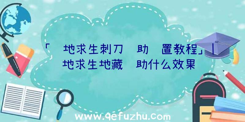 「绝地求生刺刀辅助设置教程」|绝地求生地藏辅助什么效果